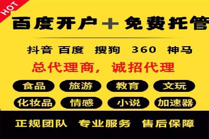 某公司通过百度竞价实现业务快速增长的案例